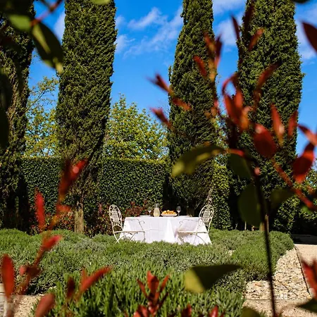 Scvola Elementare Istria - Heated Pool, Private Cinema & Ev Connector Villa